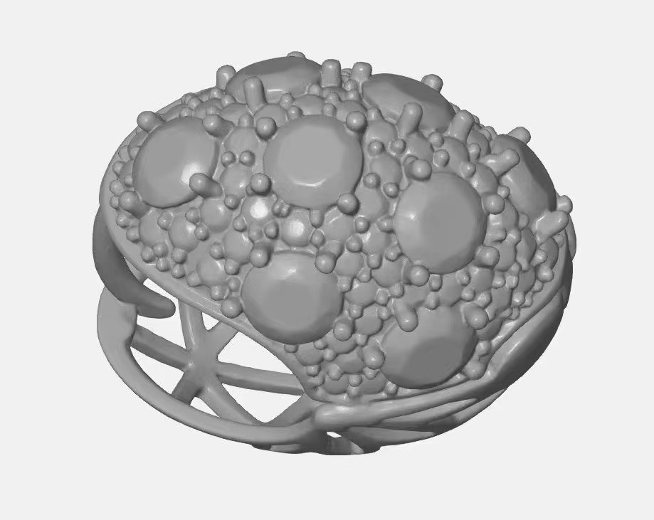 3D Scanner